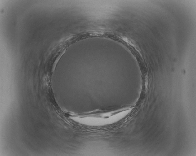 X0000081471445200701261951