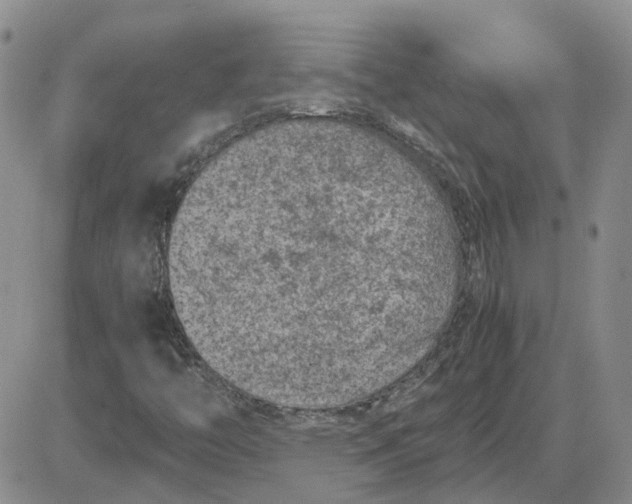 X0000081471446200701261951