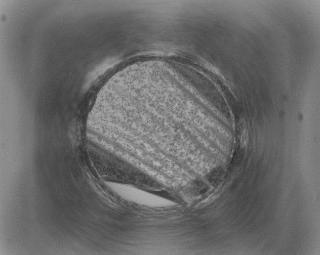 X0000081471448200701261951