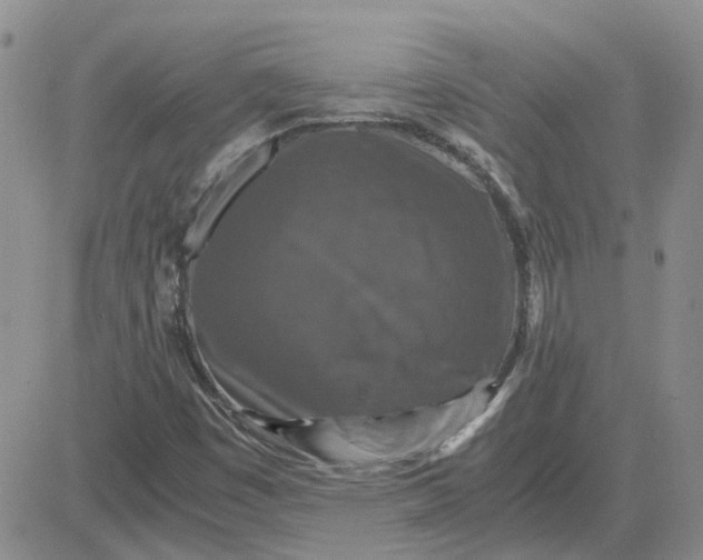 X0000081471449200701261951