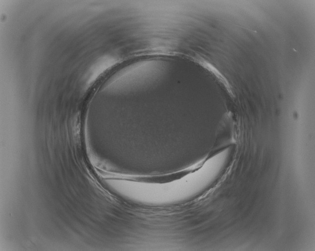 X0000081471450200701261951