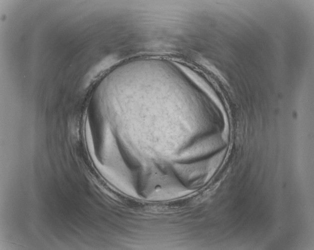 X0000081471451200701261951