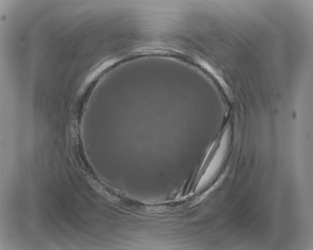 X0000081471453200701261951