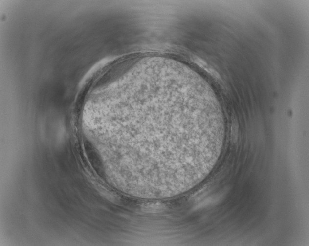 X0000081471454200701261951