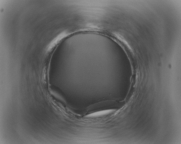 X0000081471455200701261951