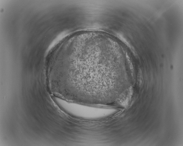 X0000081471456200701261951