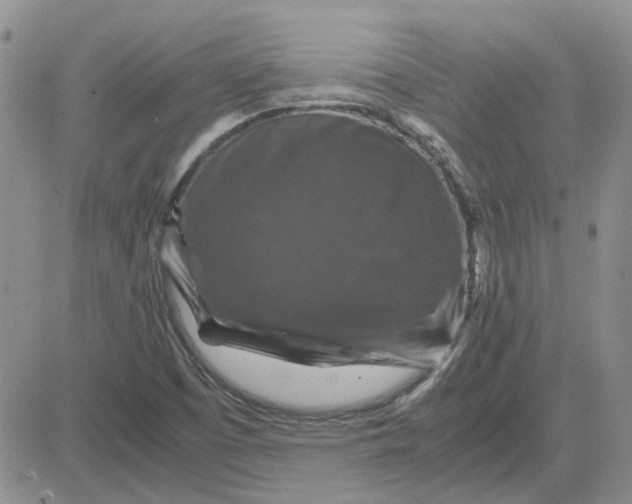 X0000081471457200701261951