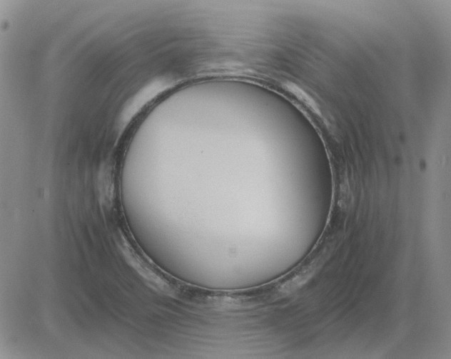 X0000081471458200701261951