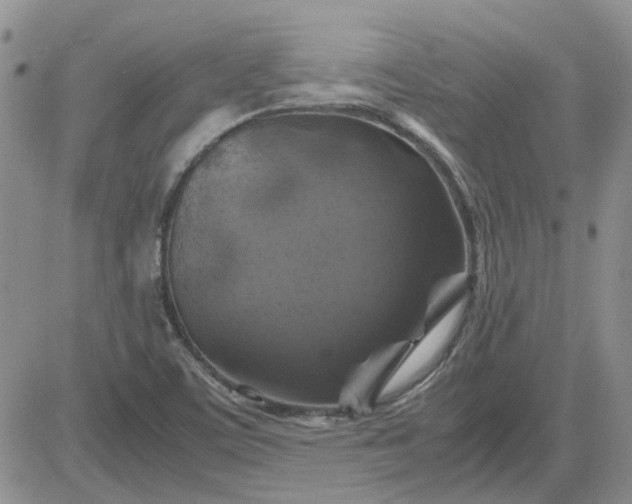 X0000081471459200701261951