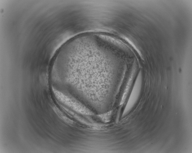 X0000081471460200701261951