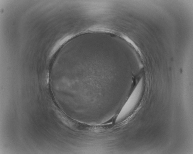 X0000081471461200701261951