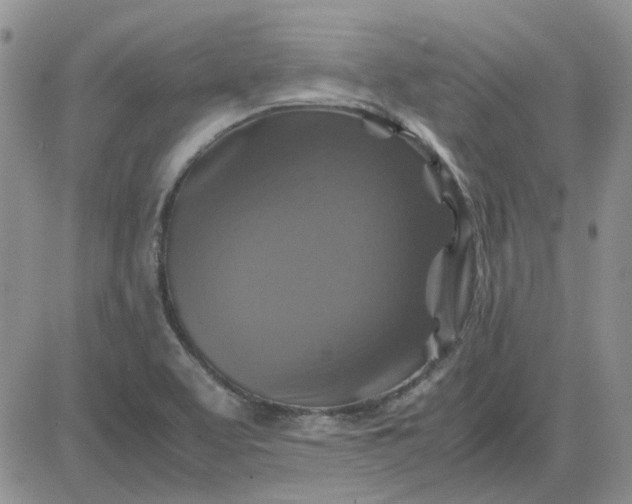 X0000081471463200701261951