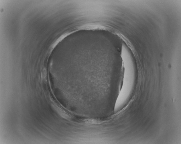 X0000081471465200701261951