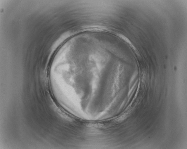 X0000081471466200701261951