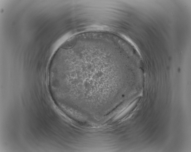 X0000081471467200701261951