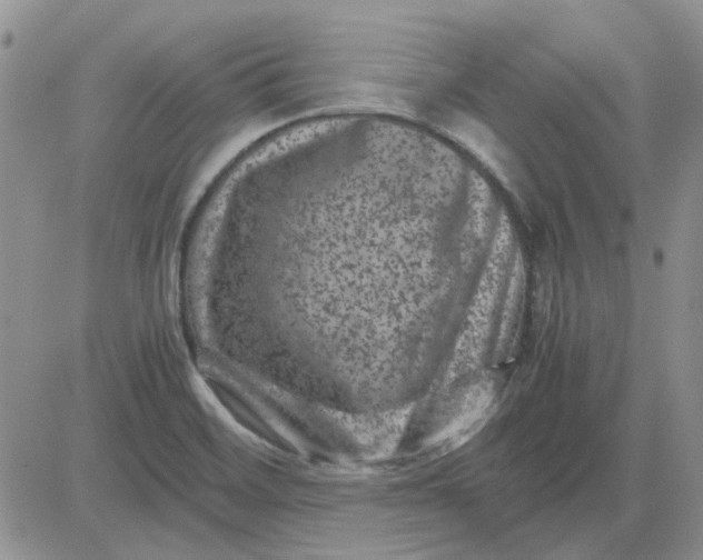 X0000081471468200701261951