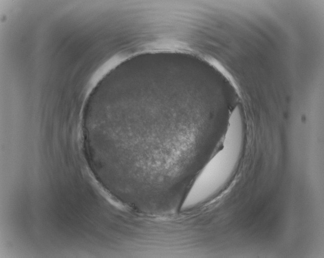 X0000081471469200701261951