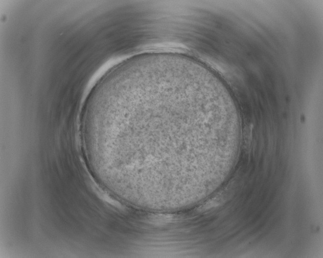 X0000081471470200701261950