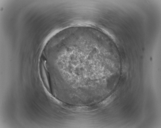 X0000081471471200701261950