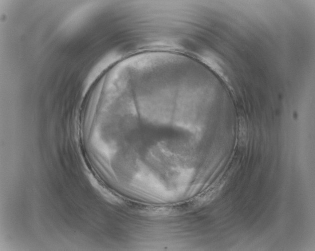 X0000081471474200701261950