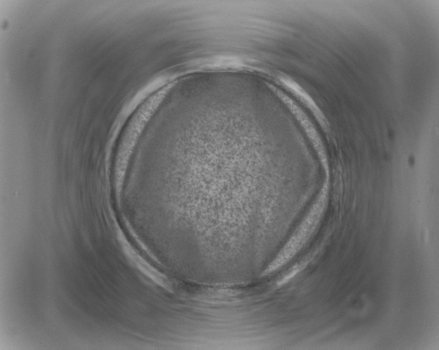 X0000081471475200701261950