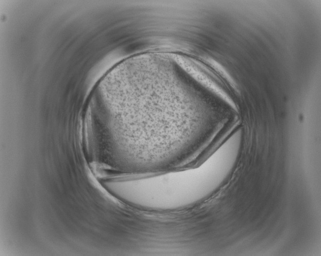 X0000081471476200701261950