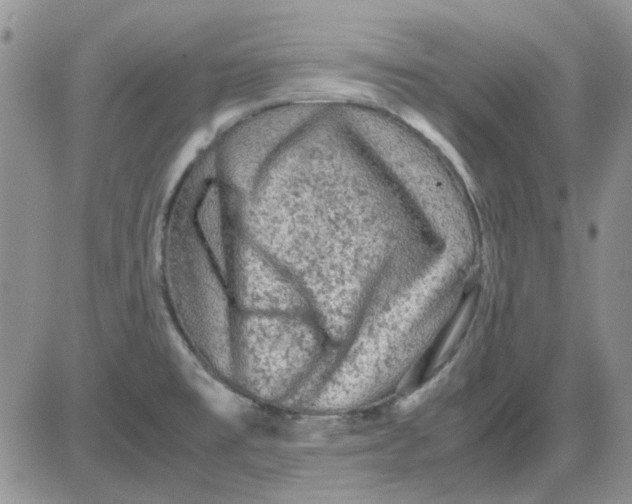 X0000081471477200701261950