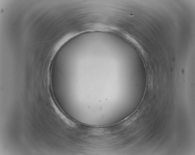 X0000081471479200701261950