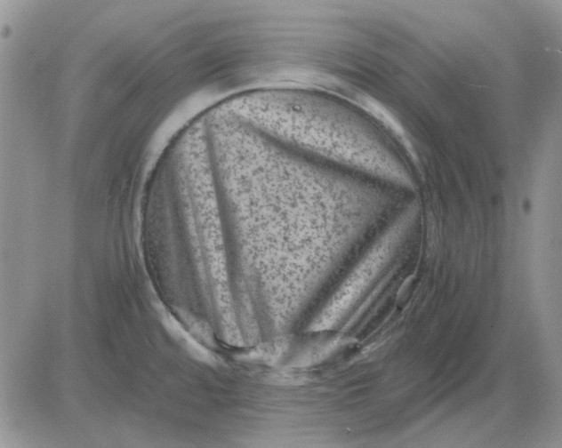 X0000081471480200701261950