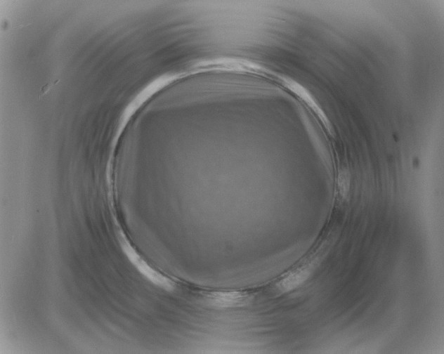 X0000081471482200701261950