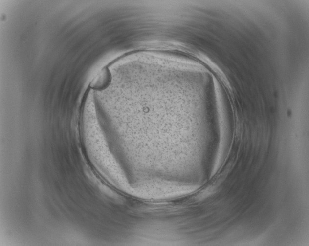 X0000081471486200701261950