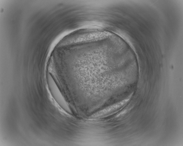 X0000081471488200701261950