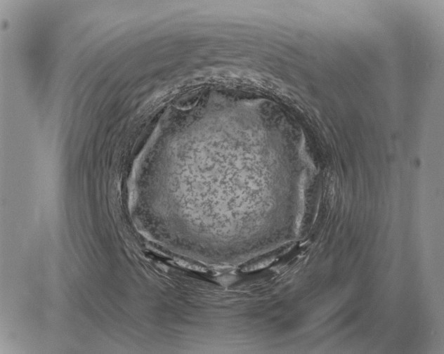 X0000081471489200701261949