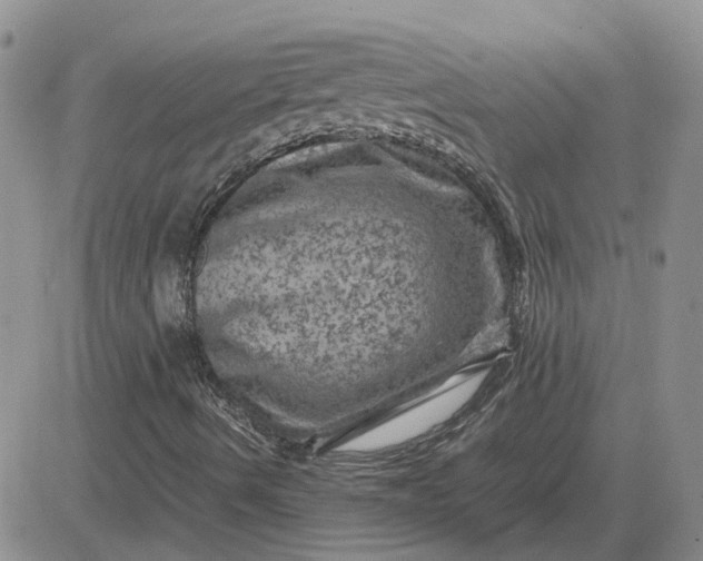 X0000081471490200701261949