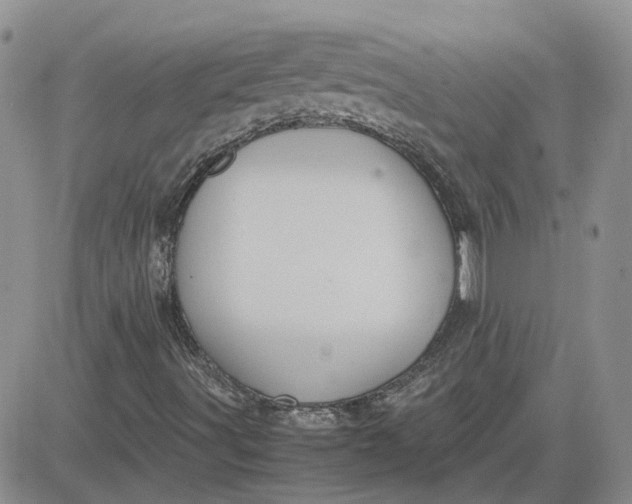 X0000081471491200701261949