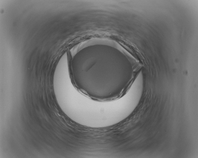 X0000081471492200701261949