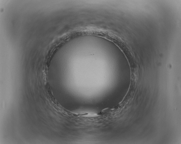 X0000081471493200701261949