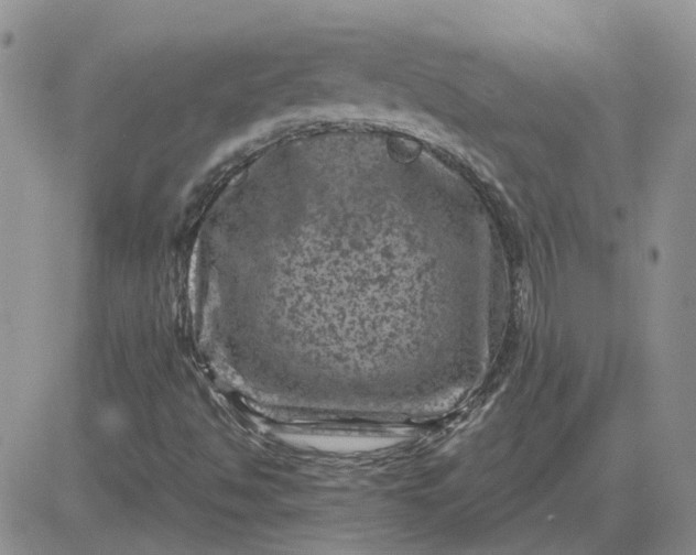 X0000081471494200701261949