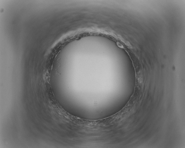 X0000081471495200701261950