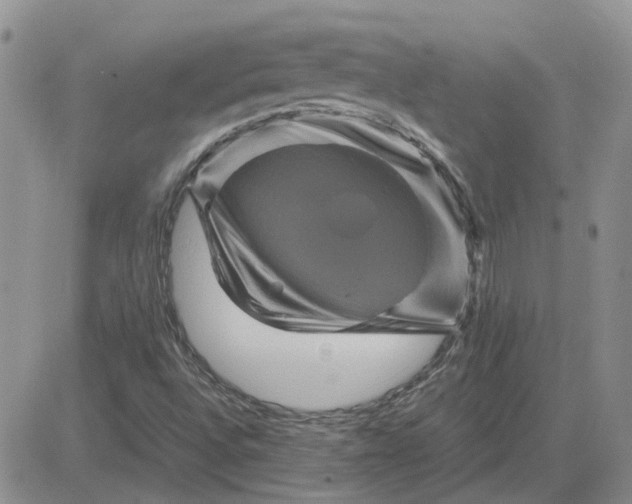 X0000081471496200701261950