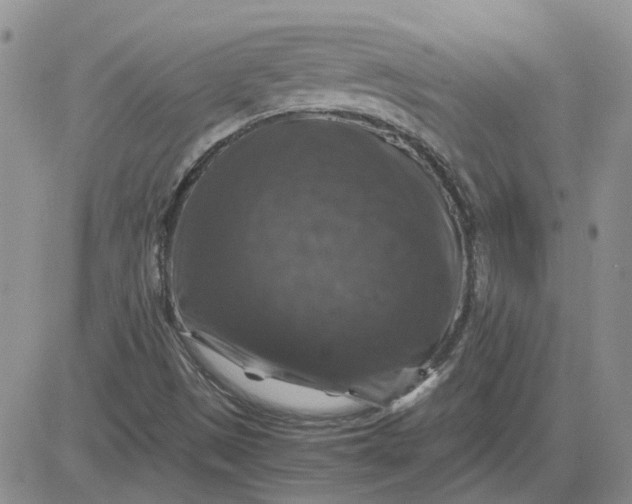 X0000081471497200701261950