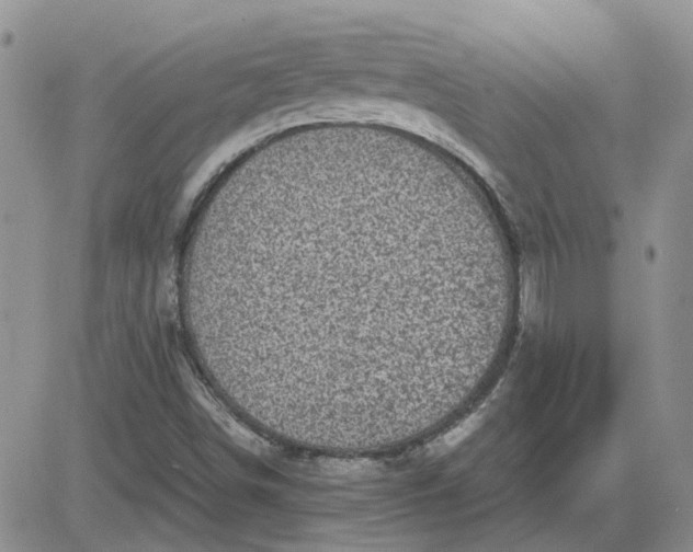 X0000081471498200701261950