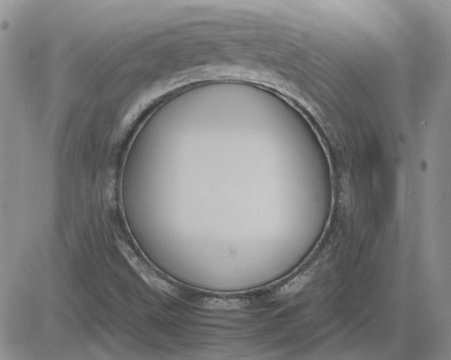 X0000081471499200701261950