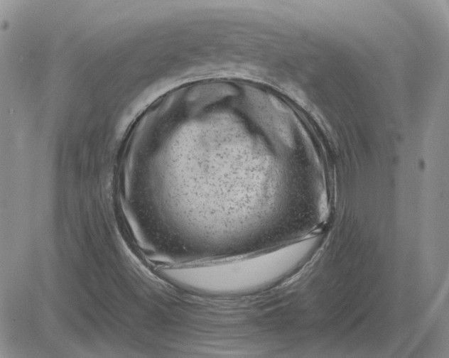 X0000081471500200701261950