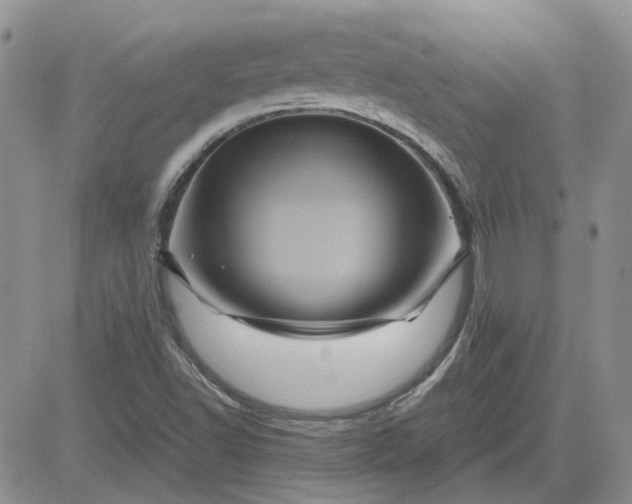 X0000081471502200701261950