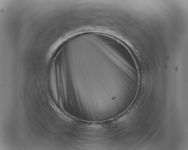 X0000081471503200701261950