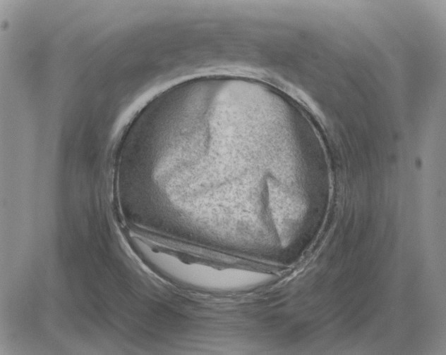 X0000081471504200701261950