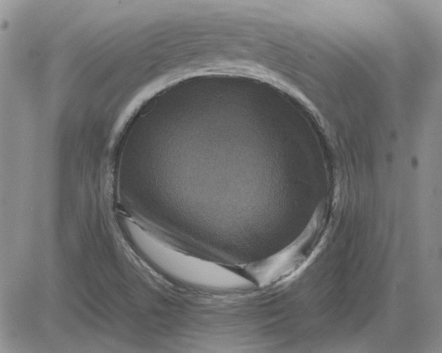 X0000081471506200701261950