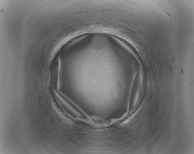 X0000081471507200701261950