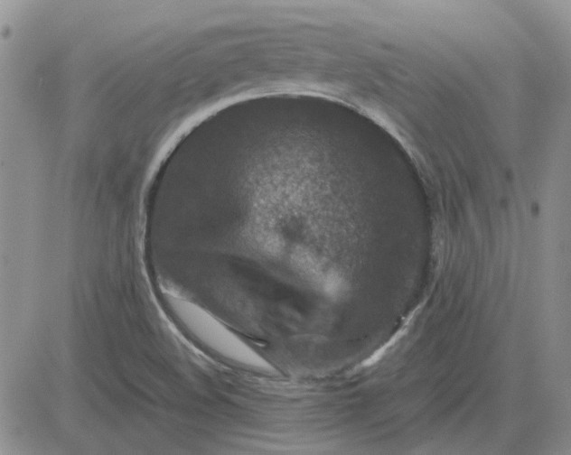 X0000081471508200701261950